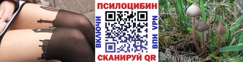 продажа наркотиков  Заозёрный  Псилоцибиновые грибы Psilocybine cubensis 