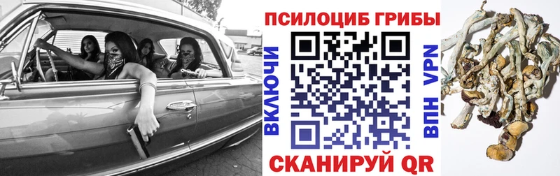 Галлюциногенные грибы Magic Shrooms Заозёрный